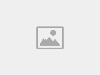 Templates – Mini Site