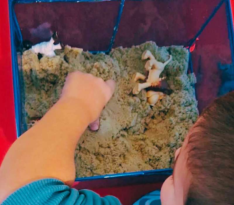 θεραπευτικη ομαδα καρδιτσα epagelmaties.com.gr