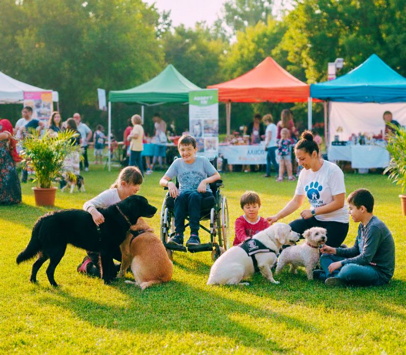 Δράση κοινωνικής ένταξης σε ΚΔΑΠ ΑμεΑ με σκύλους.ameafriendly.gr