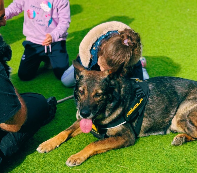 Εκπαιδευτής σκύλων της ΑΜΚΕ Ονειρόκοσμος σε δράση.epagelmaties.com.gr