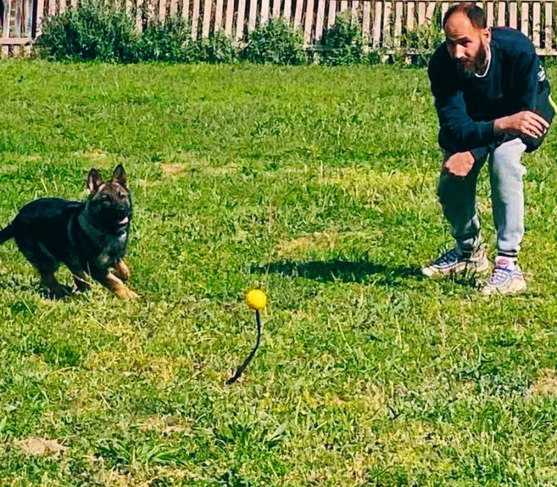 Κοινωνική ευθύνη και πρόσβαση για όλους.ameafriendly.gr