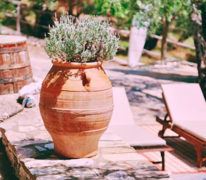 Πλήρως εξοπλισμένα διαμερίσματα στο Πήλιο για απόλυτη χαλάρωση .ameafriendly.gr