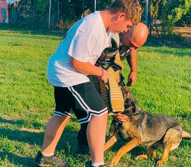 Προνομιακή φροντίδα σκύλων για οικογένειες ΑμεΑ.ameafriendly.gr