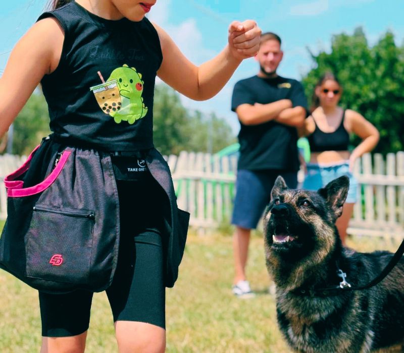 Πρότυπο κέντρο εκπαίδευσης και φιλοξενίας.ameafriendly.gr