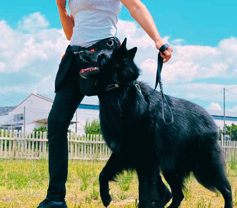 Συμβουλές επιλογής φυλής για νέους ιδιοκτήτες.epagelmaties.com.gr