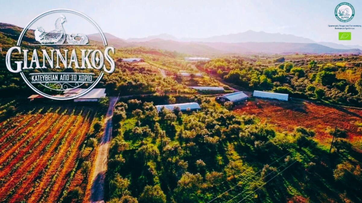 Giannakos Biofarm Βιολογικά Αυγά Σπάρτη ameafriendly.gr