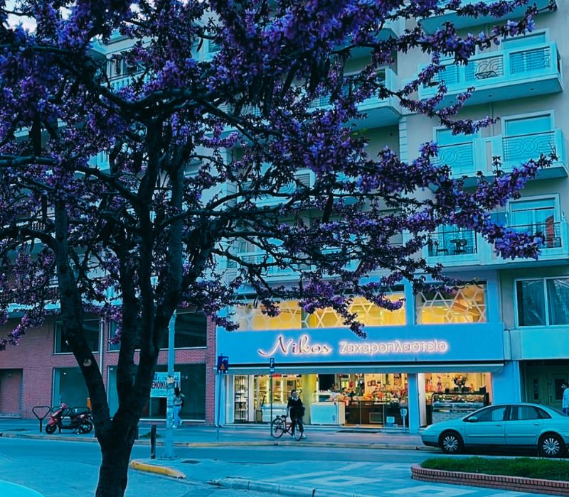 Χειροποίητες τούρτες και πάστες με πλούσια γεύση σοκολάτας, ιδανικές για γενέθλια, γιορτές και κάθε ιδιαίτερη περίσταση στην Κομοτηνή.