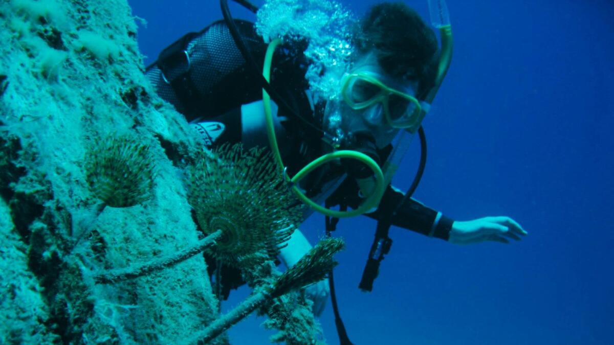 Σχολή Καταδύσεων PADI Μαθήματα Καταδύσεων Αναψυχής Και Επαγγελματικές Υποβρύχιες Εργασίες epagelmaties.com.gr