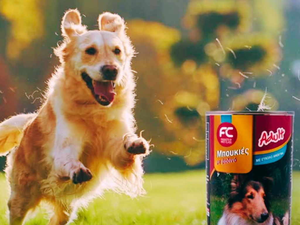ειδη petshop βασιλικα epagelmaties.com.gr
