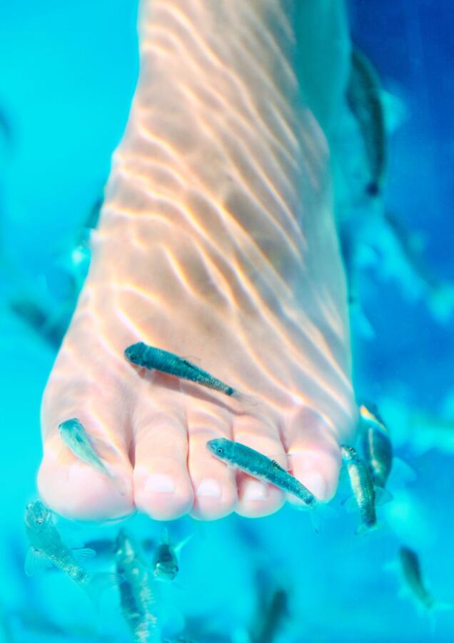fish spa nails Αθηνα epagelmaties.com.gr